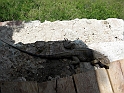santiago de cuba el cobre-75